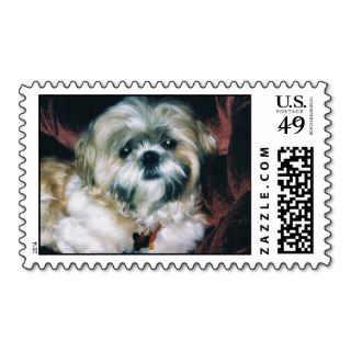 Shih Tzu Postage stamp Bailey 1