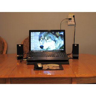 Altec Lansing USB Powered Speaker System for Laptops, Netbooks and Desktops (BXR1320) Electronics