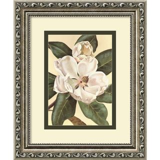 Von Schwarzbek 'Afternoon Magnolia' Framed Art Print Prints