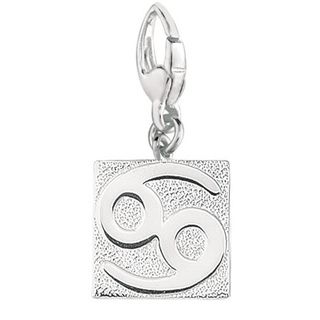 Sterling Silver Cancer Charm Silver Charms