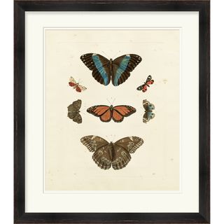 G. Wolfgang Knorr 'Butterflies' Open Edition Giclee Print Prints