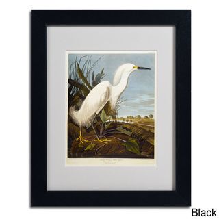 John James Audubon 'Snowy Heron' Framed Matted Art Trademark Fine Art Canvas