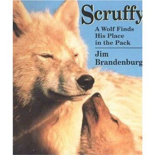 Scruffy A Wolf Finds His Place in the Pack Jim Brandenburg 9780802776020 Books