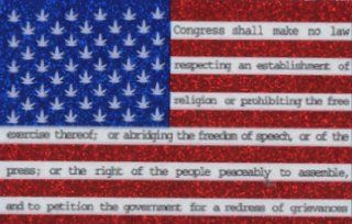 United States of America Flag with Pot Leaves "Congress Shall Make No Law"   Sticker / Decal Automotive