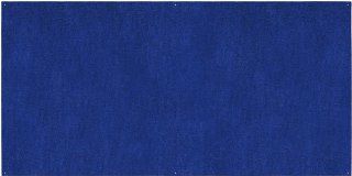 Outdoor Turf Rug   Blue   10' x 20'   Several Other Sizes to Choose From  Area Rugs  Patio, Lawn & Garden
