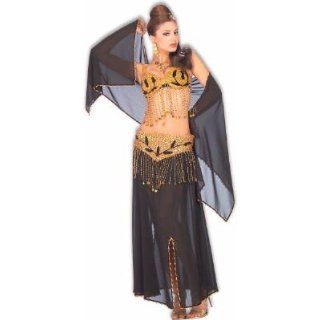 Women Std (6 12) Sexy Harem Girl Costume (bra top slightly diff than pictured) Adult Exotic Costumes Clothing