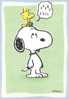 Greeting Card Get Well Peanuts "Lllllllll" That's Bird Talk for Hope You Get Well Soon Health & Personal Care