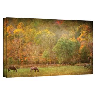 Art Wall Pasture by David Liam Kyle Photographic Print on Canvas