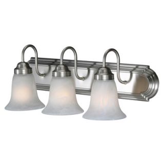 Golden Lighting Centennial 4 Light Vanity Light In Pewter