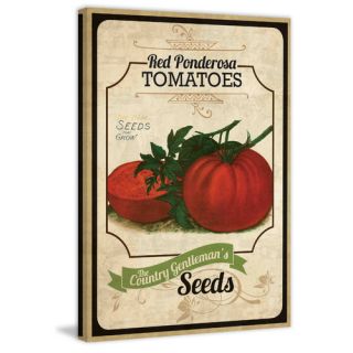 Seed Packet Tomato Painting Print on Wrapped Canvas by Marmont Hill