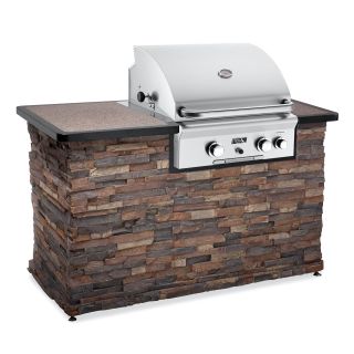 American Outdoor Grill 24 in. 2 Burner Built In Gas Grill with Optional Liner