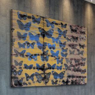 Moth Colors Graphic Art on Premium Wrapped Canvas by ParvezTaj