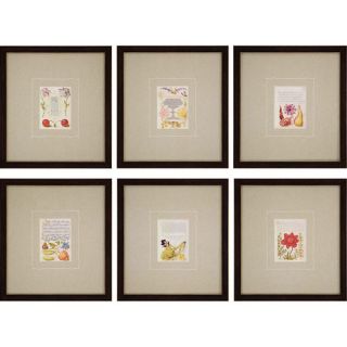 Calligraphiae 6 Piece Framed Graphic Art Set by Paragon