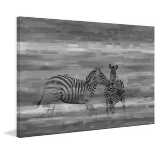 Zebra Romp Photographic Print on Canvas