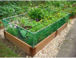 Frame It All 2 inch Series Composite Raised Garden Bed Kit with Animal Barrier   4ft. x 8ft. x 11in.   Raised Bed & Container Gardening