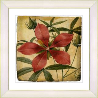 Vintage Botanical No. 22A by Zhee Singer Framed Giclee Print Fine Wall