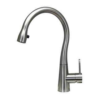 Boann Helena Single Handle Pull Out Kitchen Faucet