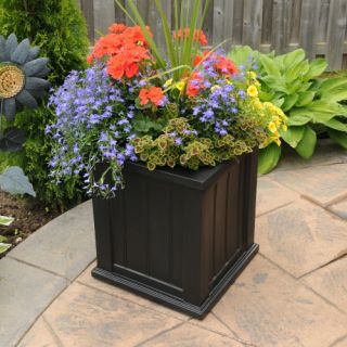 Mayne Square Polyethylene Cape Cod 16 x 16 Patio Planter   Planters