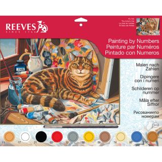 Paint By Number Kit 12X16 Resting Cat   16724371  