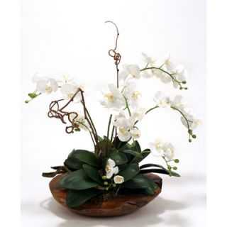 Silk Phalaenopsis Orchid Garden with Driftwood in Rustic Wood Basin by