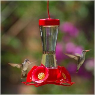 Perky Pet Hummingbird Pinch Waist Glass Bird Feeder