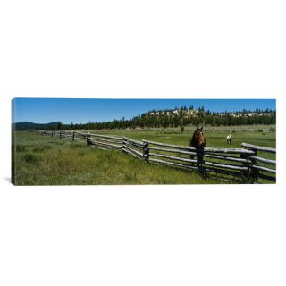 iCanvas Panoramic Two Horses in a Field, Arizona Photographic Print on