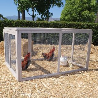 Precision Extreme Hen House Pen   Chicken Coops