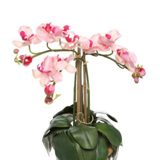 Nearly Natural Triple Mini Phalaenopsis Silk Orchid Arrangement in