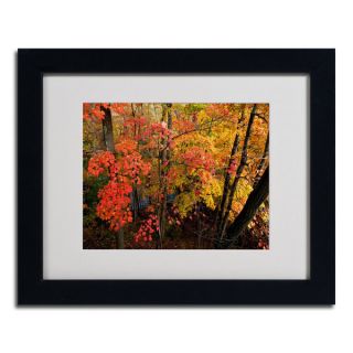 Kurt Shaffer Brilliant Autumn Forest Framed Matted Art
