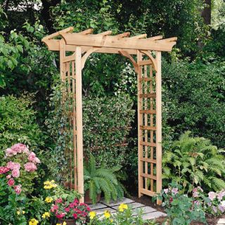 Buyers Choice Phat Tommy Rosedale Arbor