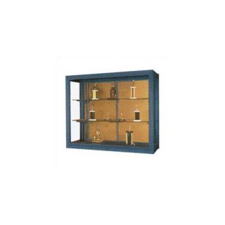 Premiere Wall Mounted Display Case by Claridge Products