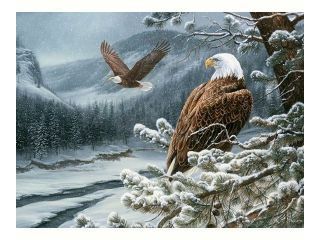 Outset Media Games OM52073 Winter Eagles 500 piece Puzzle