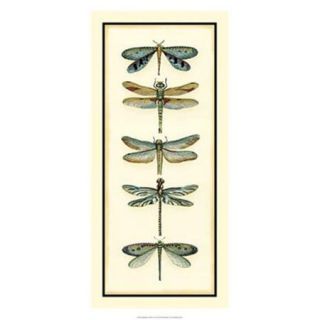 Evive Designs Dragonfly Collector I by Chariklia Zarris Painting Print