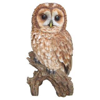 Vivid Arts Tawny Owl Statue   Garden Statues