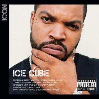 Icon Series Ice Cube (Explicit)
