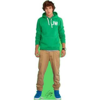 Advanced Graphics One Direction   Liam Lifesized Stand Up