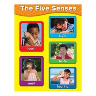 Frank Schaffer Publications/Carson Dellosa Publications The 5 Senses Chart (Set of 3)