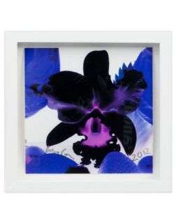 Marc Quinn Meteor Ii   Print   Men Marc Quinn Prints   58009872TN