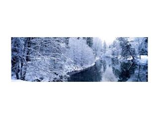 Snow covered trees along a river, Yosemite National Park, California, USA Poster Print by Panoramic Images (36 x 12)