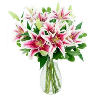 KaBloom Make A Wish Stargazers Fresh Flower Arrangement   with Vase