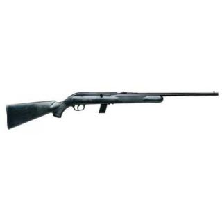 Savage 10 + 1 22LR/Blue Barrel/Black Synthetic Stock/Red Dot Scope 416221