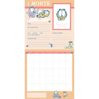 Babys First Year Garfield NonDated Wall Calendar by TFPublishing