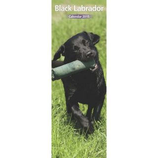 Steel Black Labrador Dog 2015 Slim Calendar