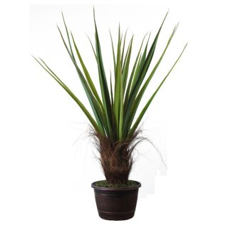 Laura Ashley Realistic Silk Giant Agave Plant with Contemporary
