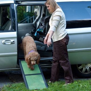 Pet Gear Travel Lite Bi Fold Half Ramp   Pet Ramps and Stairs