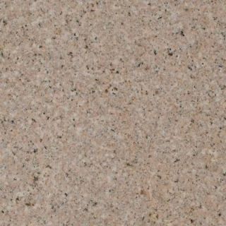 Stonemark Granite 3 in. Granite Countertop Sample in Giallo Fantasia DT G254