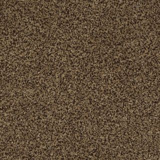 STAINMASTER TruSoft Private Oasis IV Supreme Textured Indoor Carpet