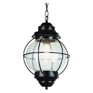 Trans Globe 69906 Hanging Lantern   10W in.   Outdoor Hanging Lights