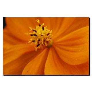 Trademark Fine Art 14 in. x 19 in. Orange Flower Canvas Art KS159 C1419GG