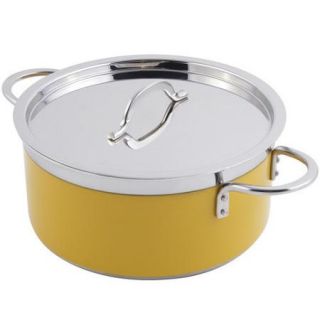 Bon Chef Classic Country French Soup Pot with Lid